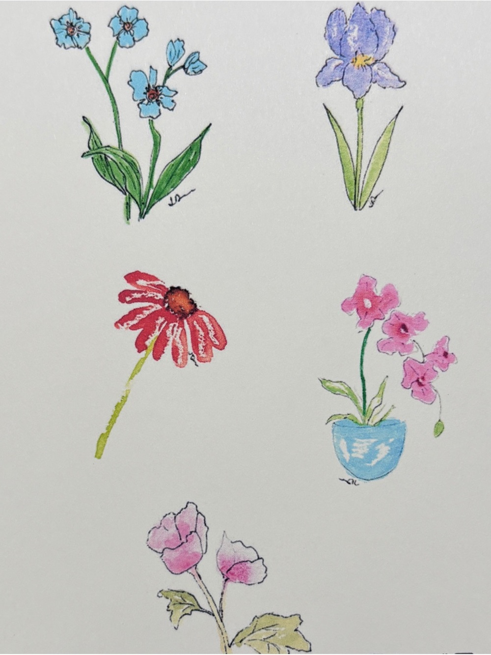 Set of 5 Watercolor Blank Cards Flowers